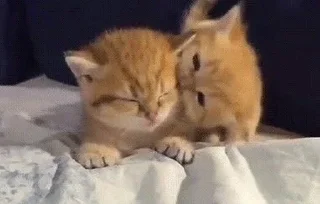 😘