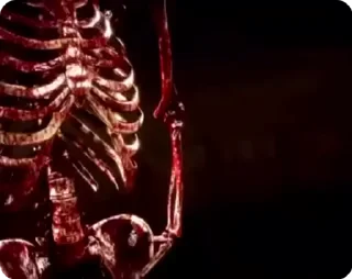 💀
