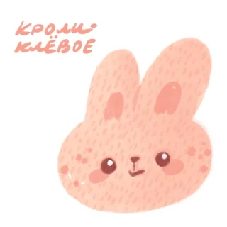 🐰