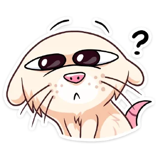 ❓