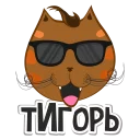 😎