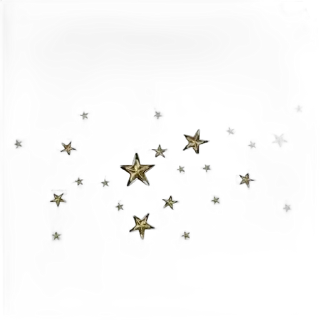 🌟