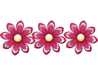 🌺