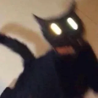 👀