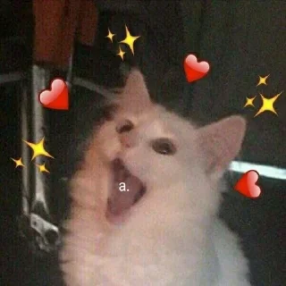 ❤️