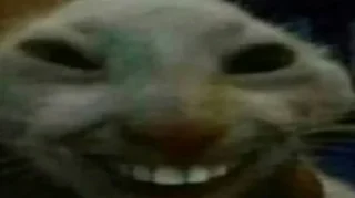 😆