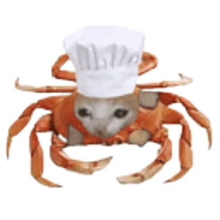 🦀