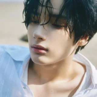 🐚
