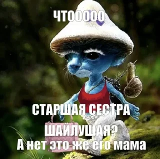 🐱