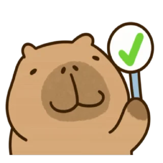 ✅