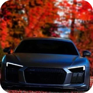 🚗