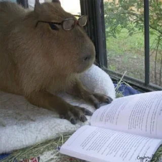🤓
