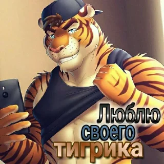 🐯