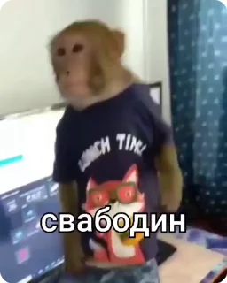 🐒