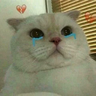 😢