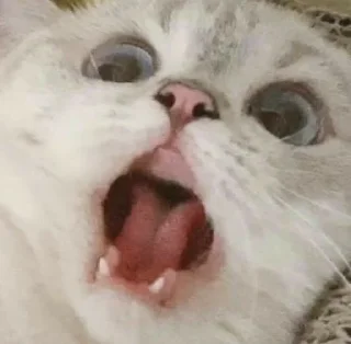 😱