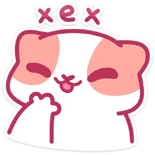 🐱