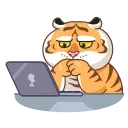 👨‍💻