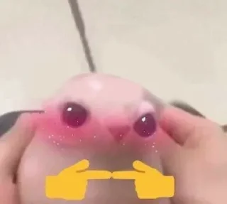 👉