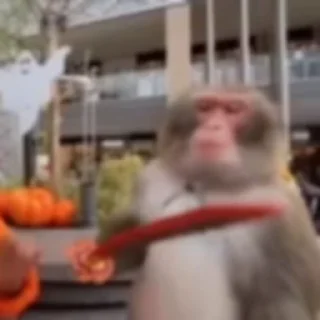 🔪