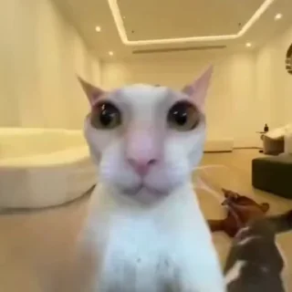 👊