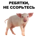 🐖