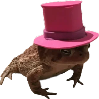 🎩