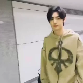 🌟