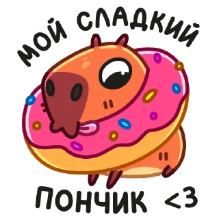 🍩