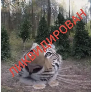 🤨