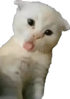 😛