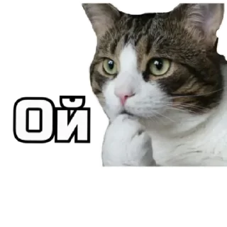 🙊