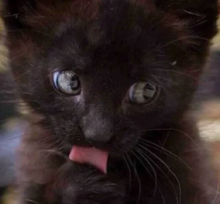 🎀
