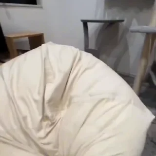 🤩