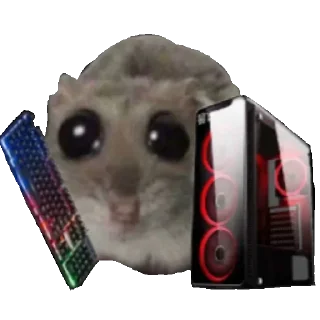 🖥
