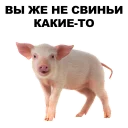 🐖