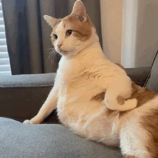 😠