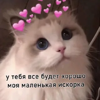 ❤️