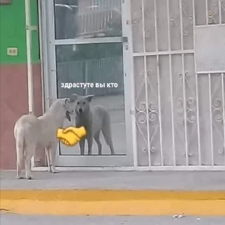 🤝