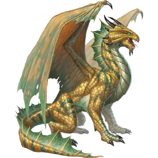 🐲