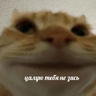 🤑
