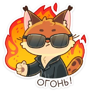 😎