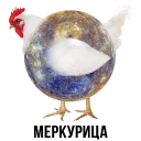 🐔