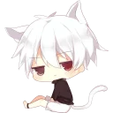 🐱