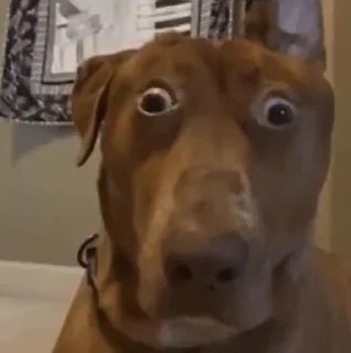 😳