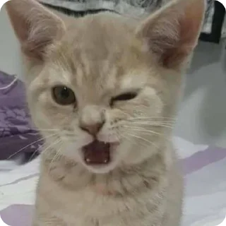 😉