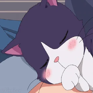 😽