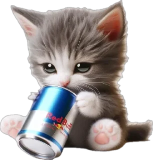 🍺