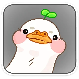 🦆