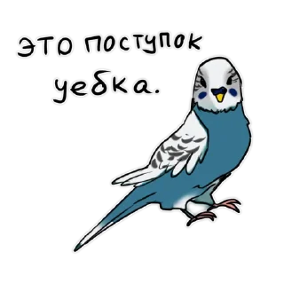😠